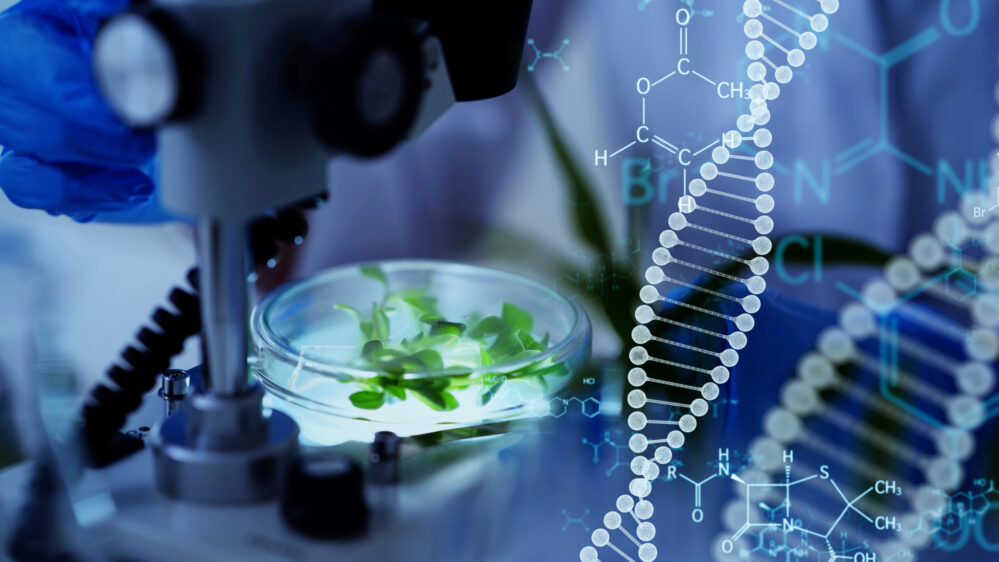 USDA Will Hold FY 2026 Biotechnology Risk Assessment Research Grants Program Technical Assistance Webinar on June 29, 2026, Letters of Intent Are Due July 1