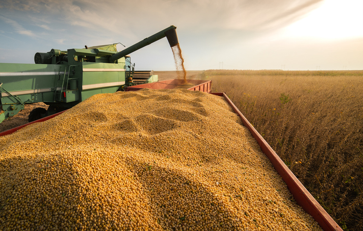 APHIS Requests Comment on Petition to Deregulate Insect-Resistant Soybean Developed Using Genetic Engineering - Bergeson & Campbell, P.C.
