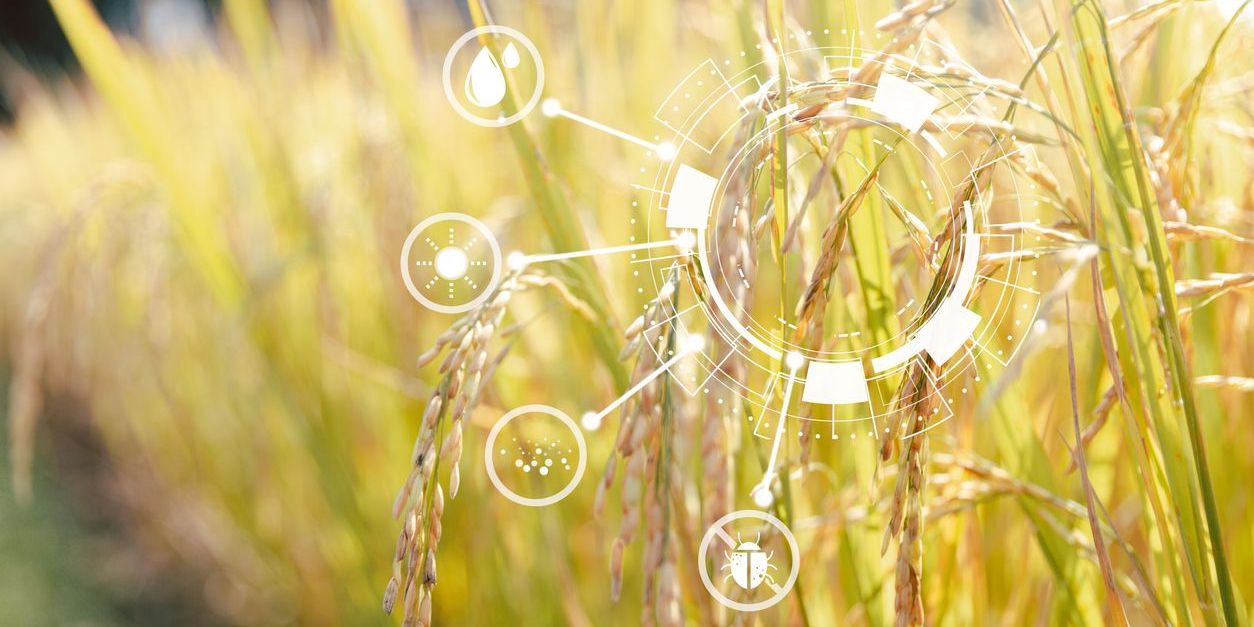 USDA’s 2026 Unified Agenda Includes Biobased Product and Biotechnology Rulemakings - Bergeson & Campbell, P.C.