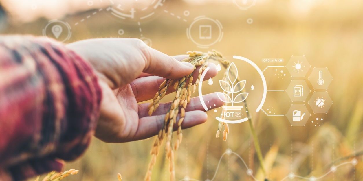 Registration Opens for APHIS BRS Stakeholder Meeting on November 19, 2026 - Bergeson & Campbell, P.C.